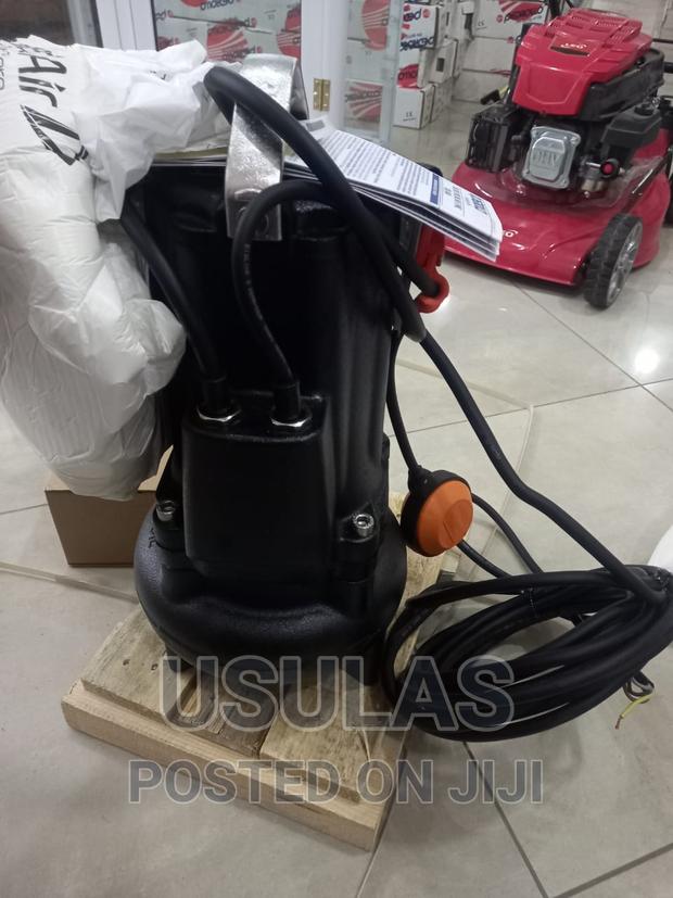 Pedrollo 2hp Sewage Pump · Photo 2