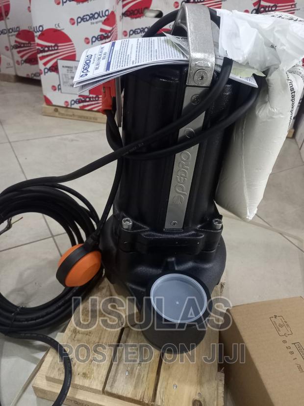 Pedrollo 2hp Sewage Pump · Photo 4