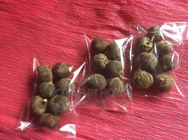 Goron Tula (Snot Apple) · Photo 1