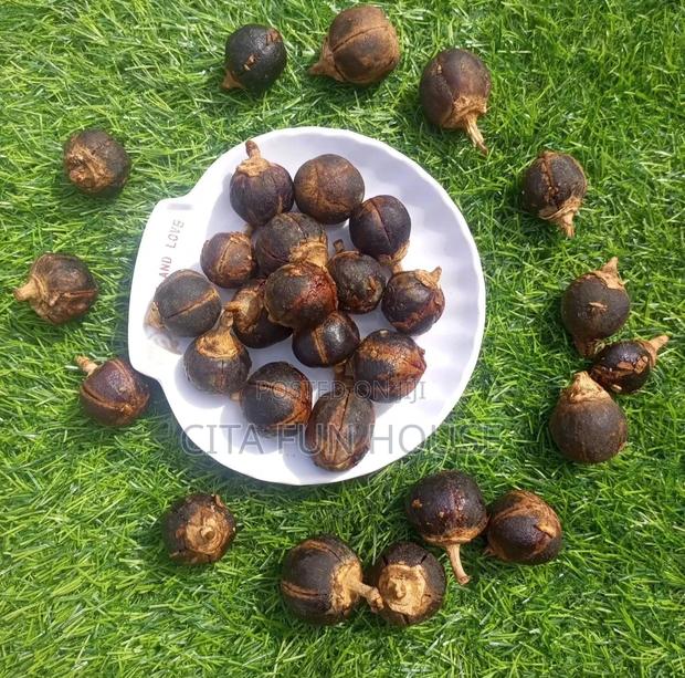 Goron Tula (Snot Apple) · Photo 4