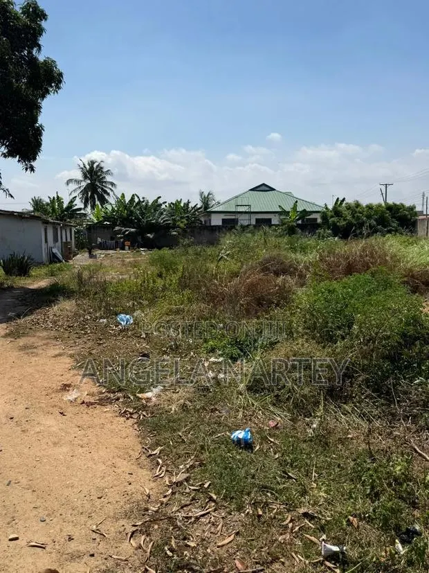 Walled and Gated Two and Half Plot at Community 17- Lashibi · Photo 3