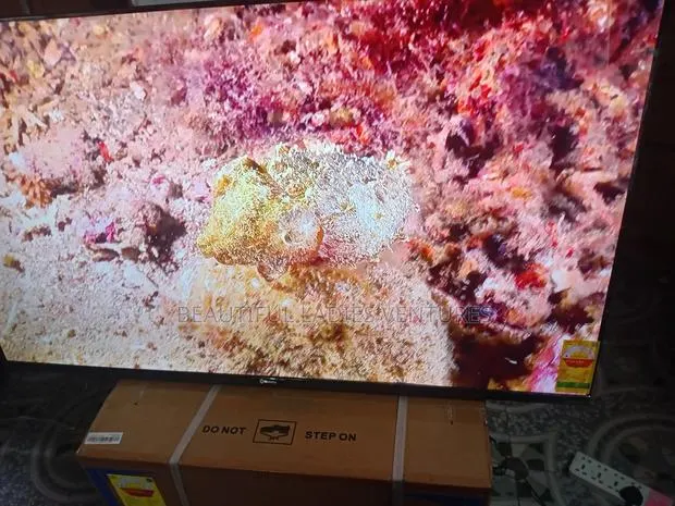 Sigma 55” Smart Tv – Big Screen Luxury · Photo 1