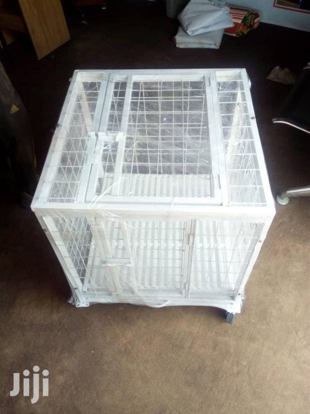 Pet Cages/ Crates/ House for Poodles · Photo 5