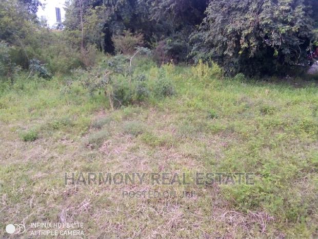 4plots for Sale -Tesano · Photo 2