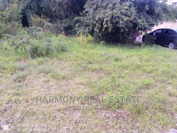 4plots for Sale -Tesano · Photo 4