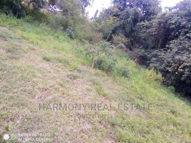 4plots for Sale -Tesano · Photo 5