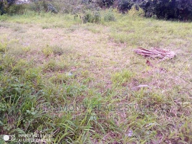 4plots for Sale -Tesano · Photo 7
