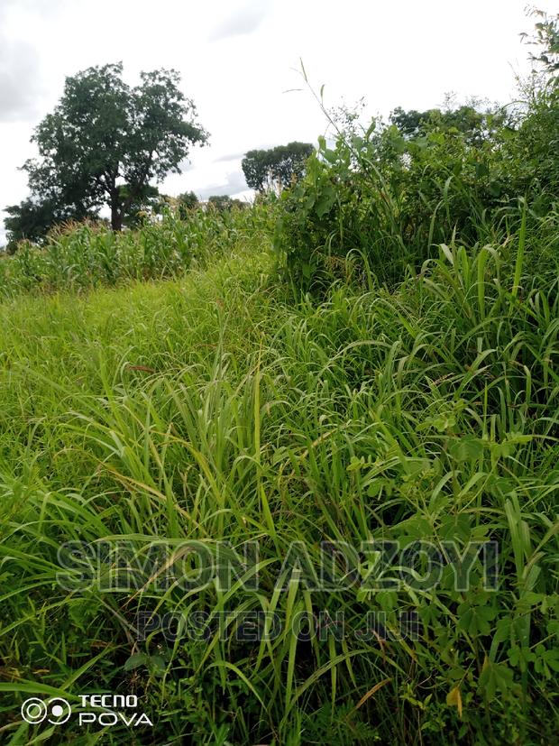 50,000 Acres of Farm Land for Login Lease · Photo 2