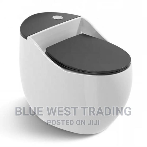 Egg Shaped Water Closet (BLACK AND WHITE) · Photo 6