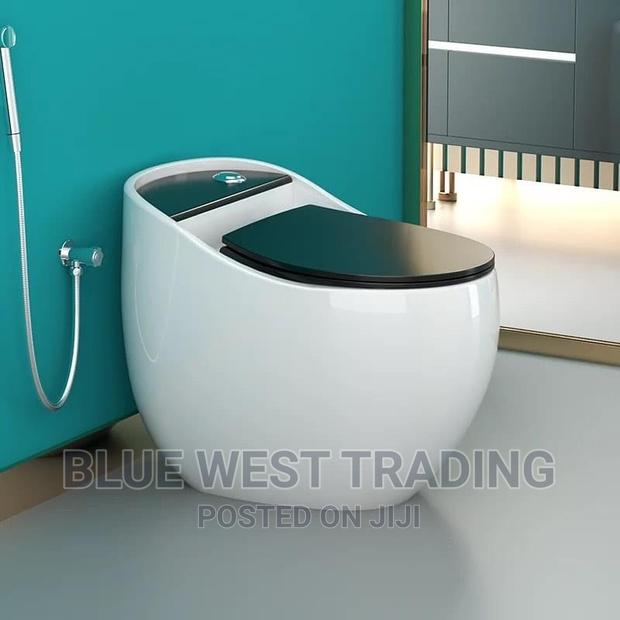 Egg Shaped Water Closet (BLACK AND WHITE) · Photo 5