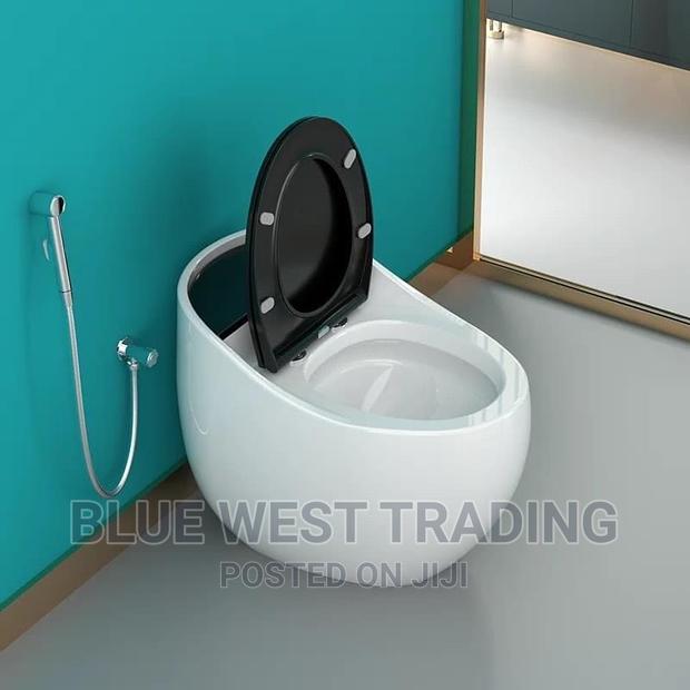 Egg Shaped Water Closet (BLACK AND WHITE) · Photo 7