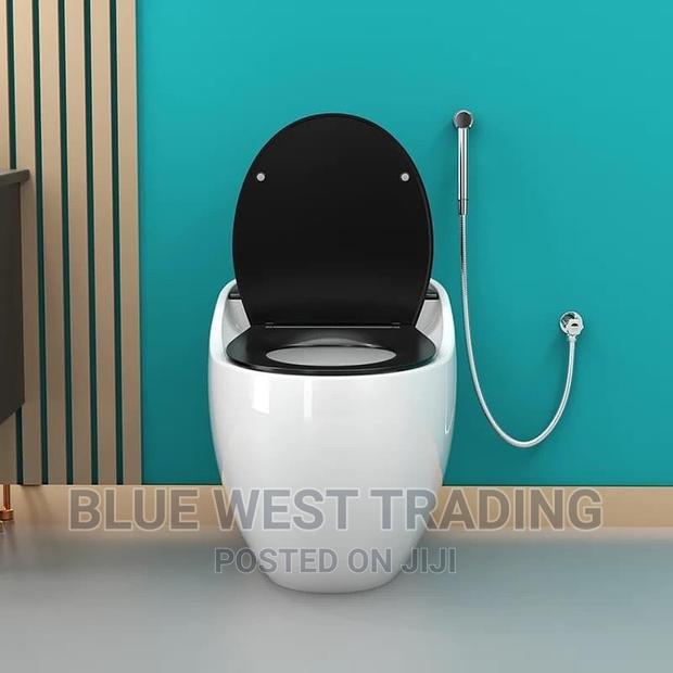 Egg Shaped Water Closet (BLACK AND WHITE) · Photo 8