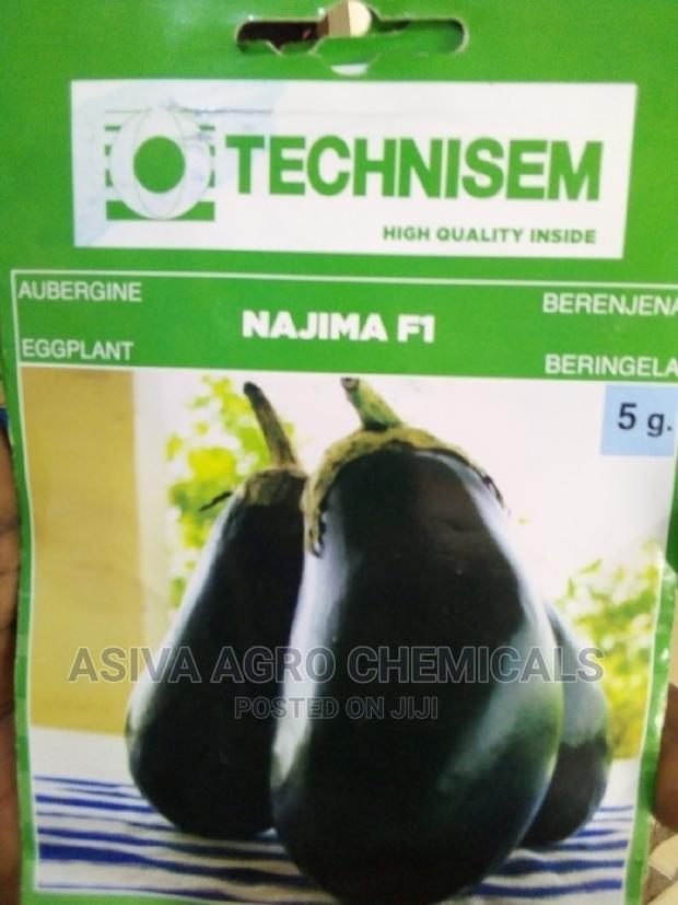 Aubergine Seeds · Photo 3