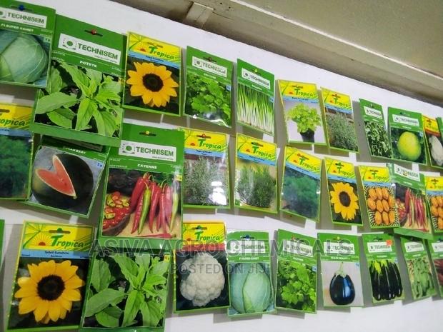 Vegetable Seeds · Photo 3