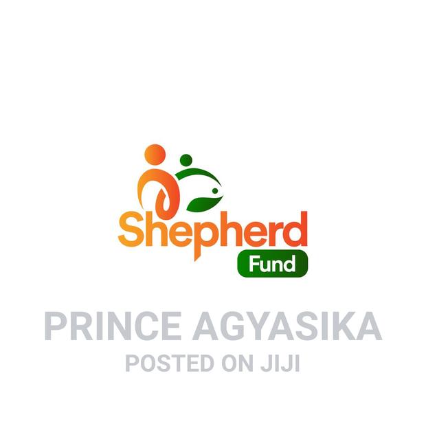 Freelance Graphic Designer And Web Developer And Designer · Photo 2