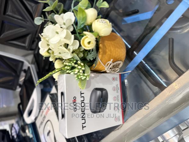 Place and Order for Audiio Tuneout 301 Black Airpod · Photo 1