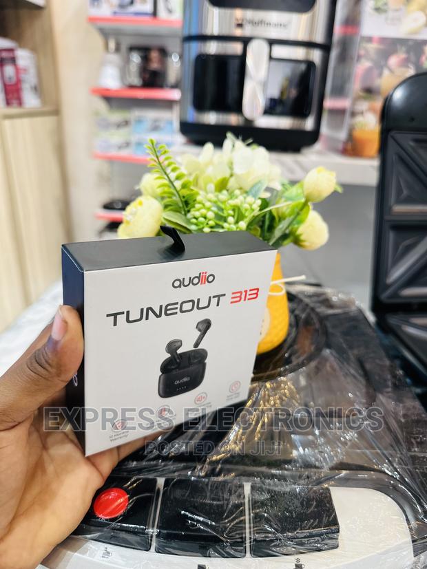 Available Now Audiio Tuneout 313 · Photo 1
