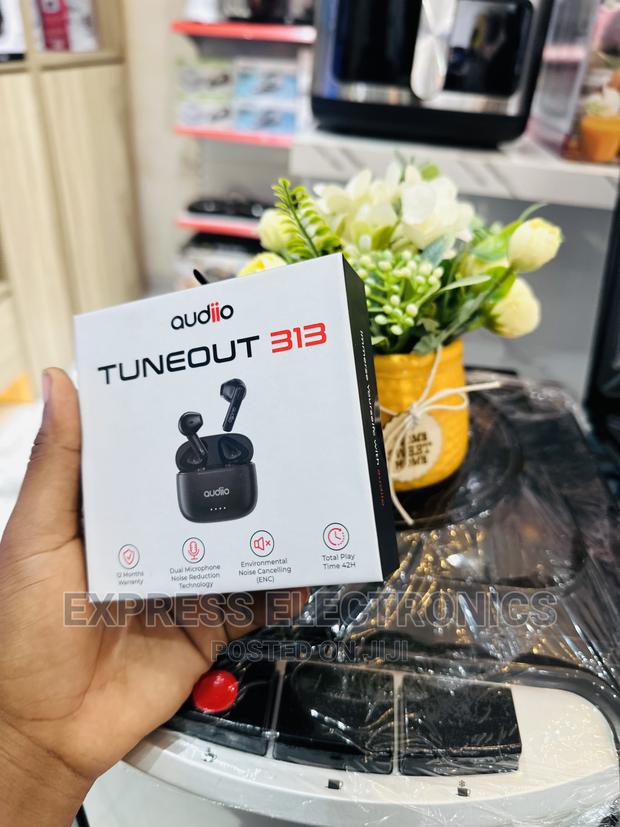 Call and Order for Audiio Tuneout 313— · Photo 1
