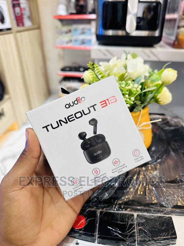 Easy Touch Control Audiio Tuneout 313— · Photo 1