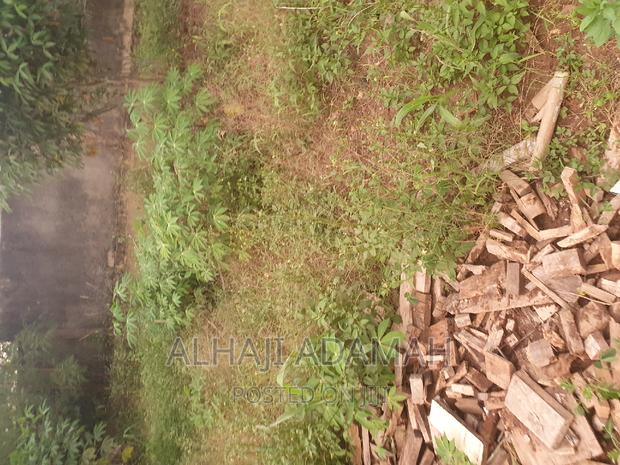 Plot for Sale at Atasumansu · Photo 6