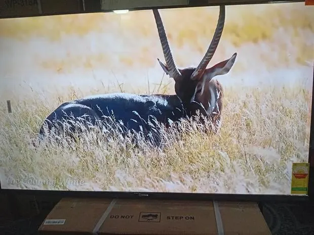 Sigma 55” Smart Tv – Perfect for Movies Sports · Photo 1