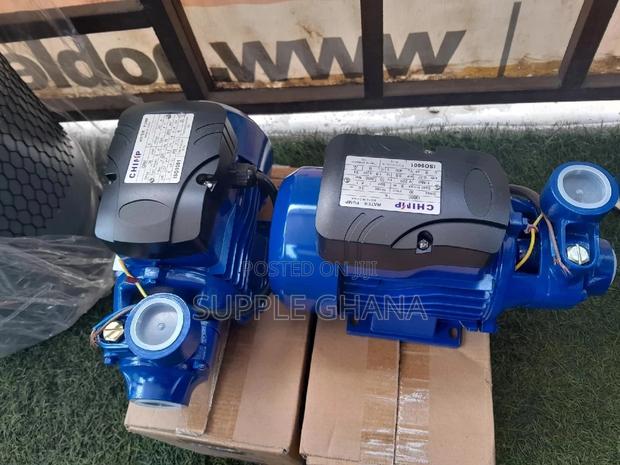 Morden Chimp Water Pump · Photo 2