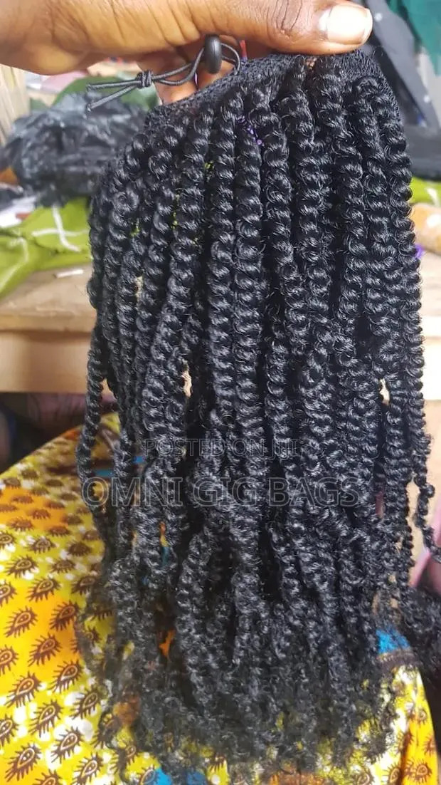 Braided Ponytail · Photo 1