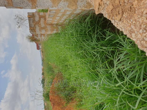 Nine Plots for Sale at Darban New Site · Photo 5