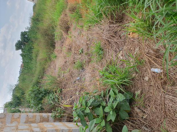 Nine Plots for Sale at Darban New Site · Photo 6