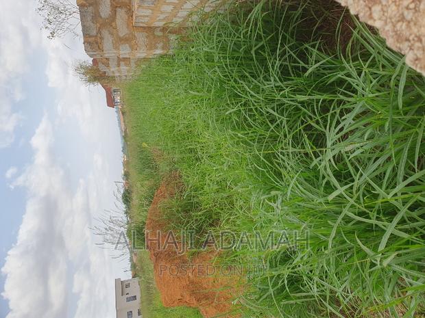 Nine Plots for Sale at Darban New Site · Photo 7