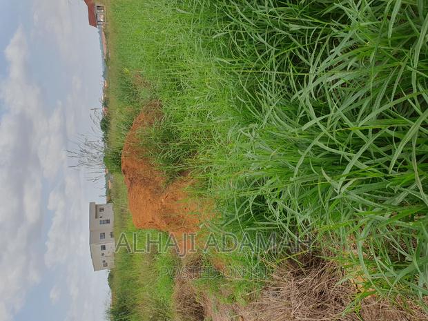 Nine Plots for Sale at Darban New Site · Photo 8