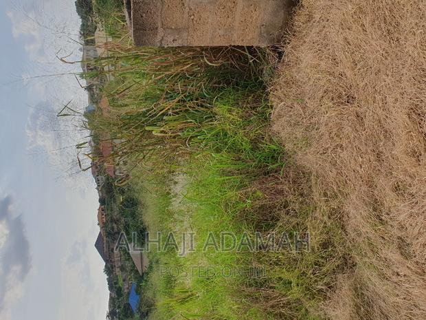 Plot for Sale at Kwadaso Ohwimase Hill Top · Photo 1