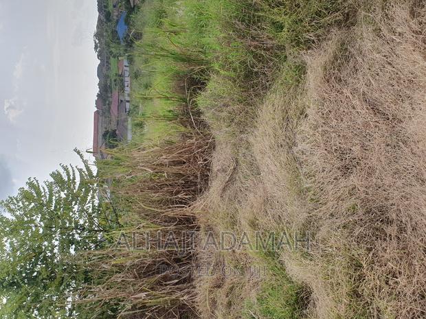 Plot for Sale at Kwadaso Ohwimase Hill Top · Photo 5