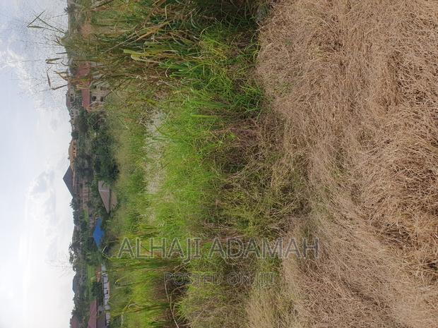 Plot for Sale at Kwadaso Ohwimase Hill Top · Photo 6