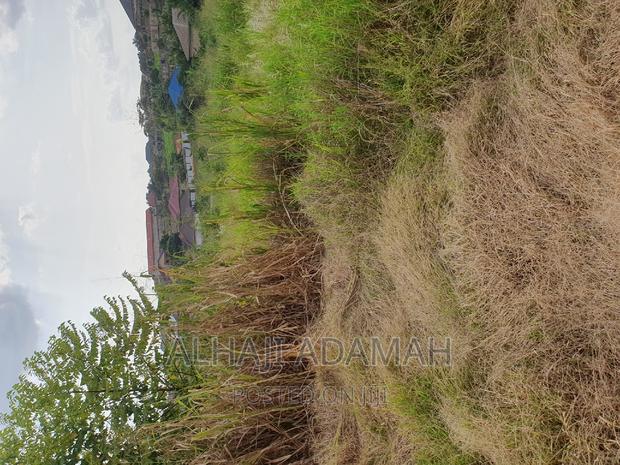 Plot for Sale at Kwadaso Ohwimase Hill Top · Photo 8