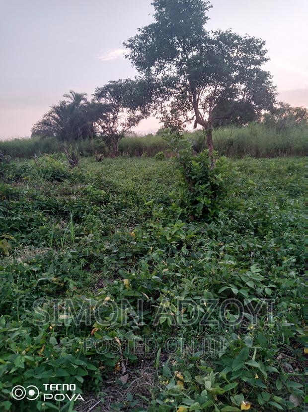 1000 Acres Available Farm Land For Sale · Photo 2