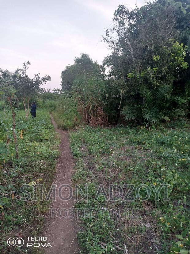 1000 Acres Available Farm Land For Sale · Photo 4