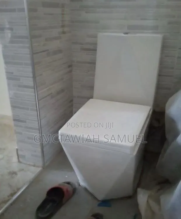 Professional Plumber · Photo 1