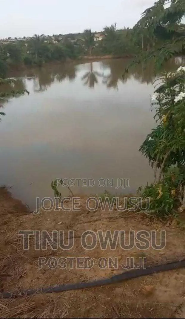 Land for Sales, Rentals and Fish Ponds · Photo 3