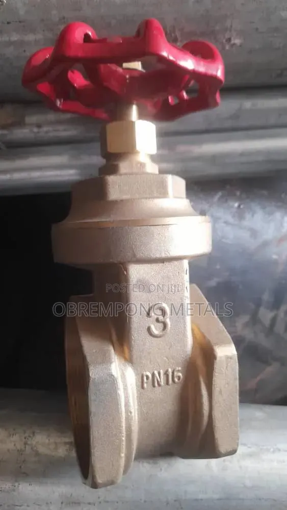 3" Brass Gate Valve Threaded · Photo 1