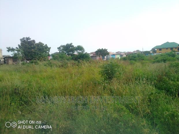 Two Acres at Lakeside Estate · Photo 7