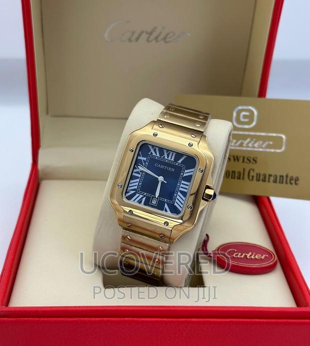 Cartier Santos Skeleton Watch · Photo 3