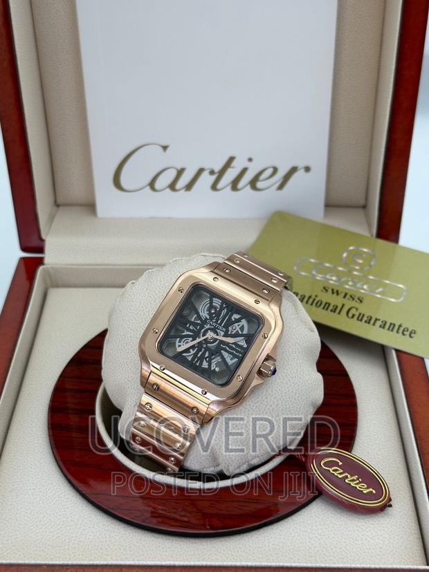 Cartier Santos Skeleton Watch · Photo 5
