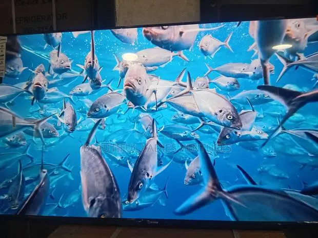 Sigma 55” Led Smart Tv – Bright Beautiful Display · Photo 1