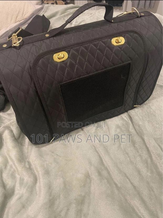 Designer Pet Carrier · Photo 1