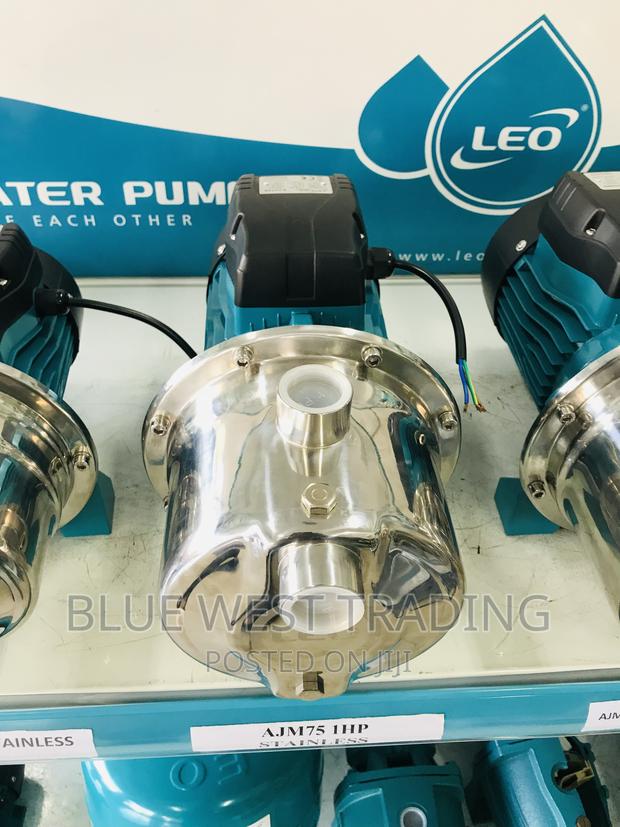 1 Horse Power Stainless Water Pump - Leo Water Pump 1hp · Photo 6