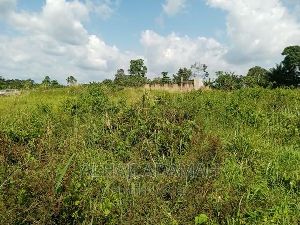 Full Plot for Sale at Santasi Darko · Photo 1