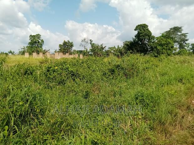Full Plot for Sale at Santasi Darko · Photo 7