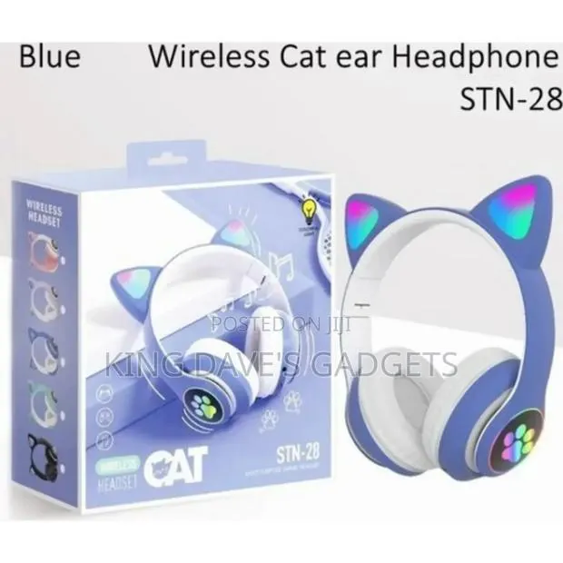 Cat Headset · Photo 1