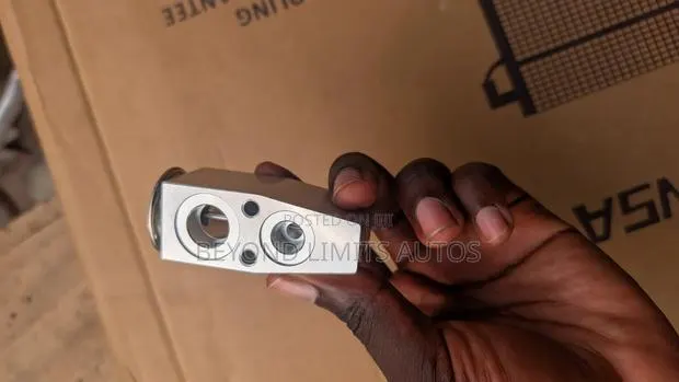 Ford F-150 2015,2016,2017,2018,2019 Expansion Valve · Photo 1
